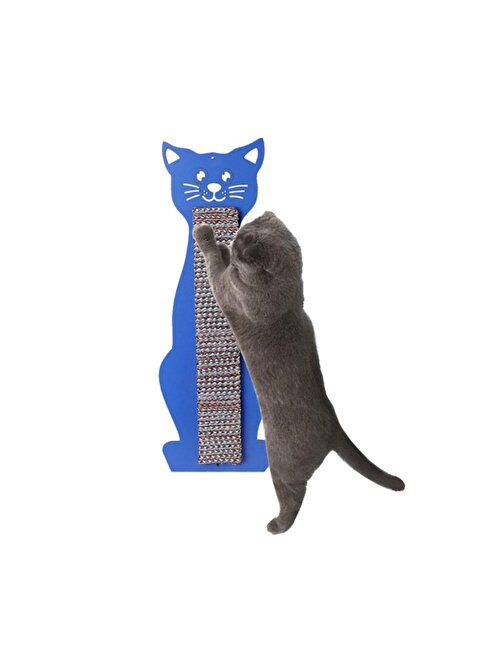 Kedi Tırmalama Ve Kaşıma Tahtası Kedi Mavi