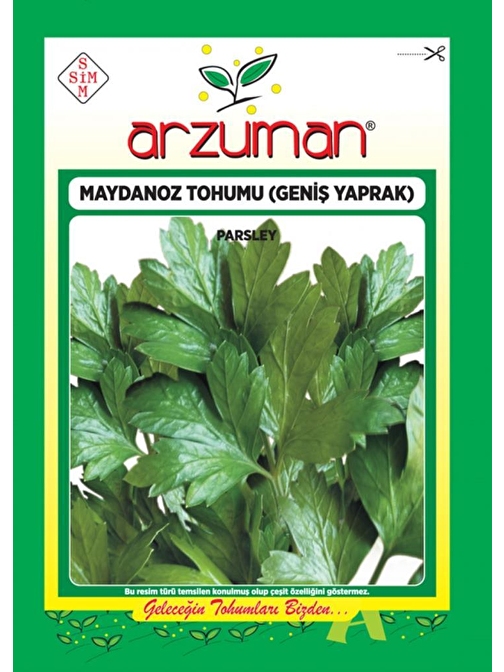 Maydanoz Tohumu Geniş Yaprak25GR