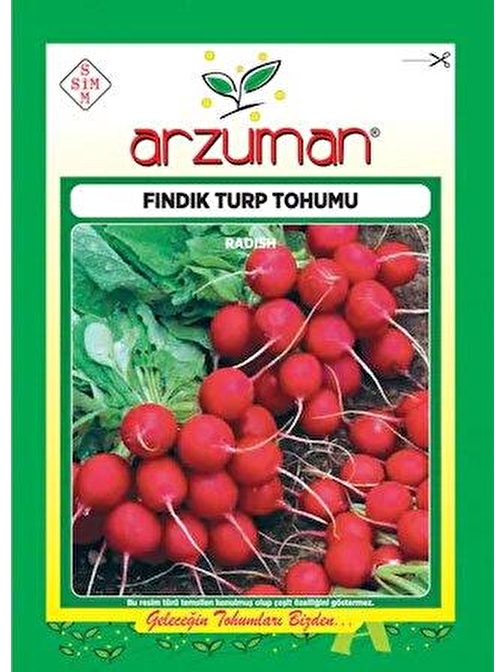 Turp Tohumu 10 GRam Fındık Turp Tohumu Kırmızı Turp Tohumu