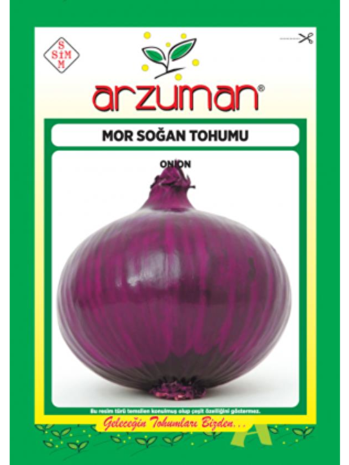 Mor Soğan Tohumu