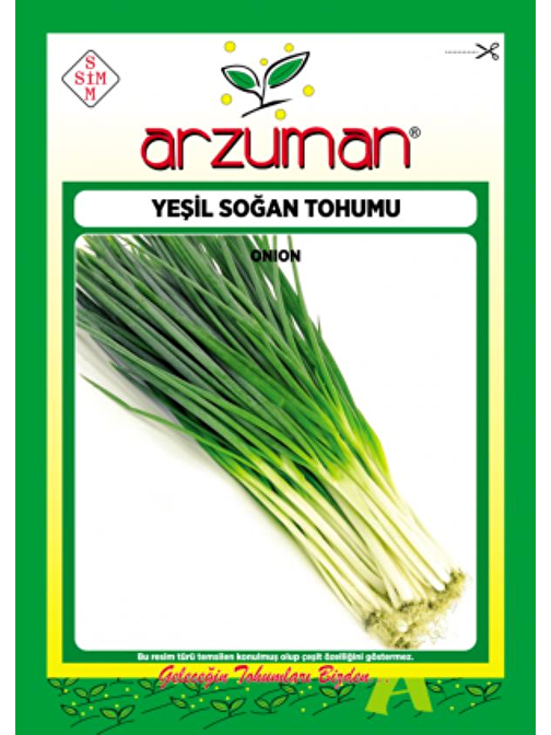 Yeşil Taze Soğan Tohumu