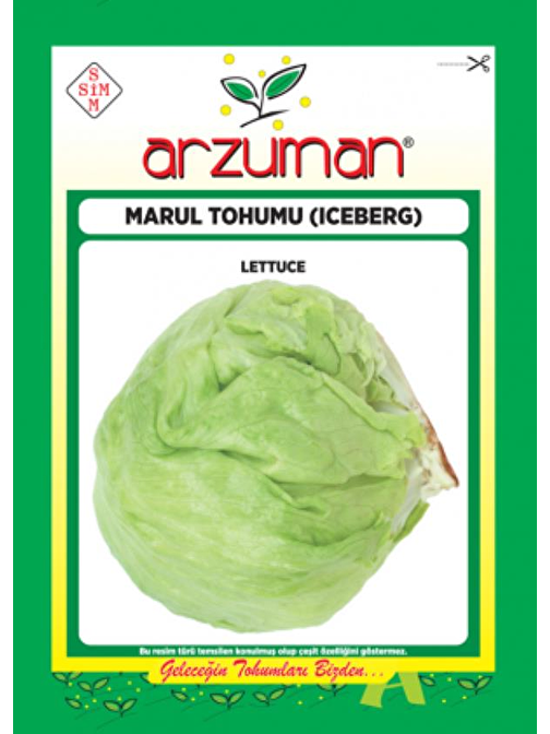 Arzuman Marul Tohumu Iceberg Top Marul