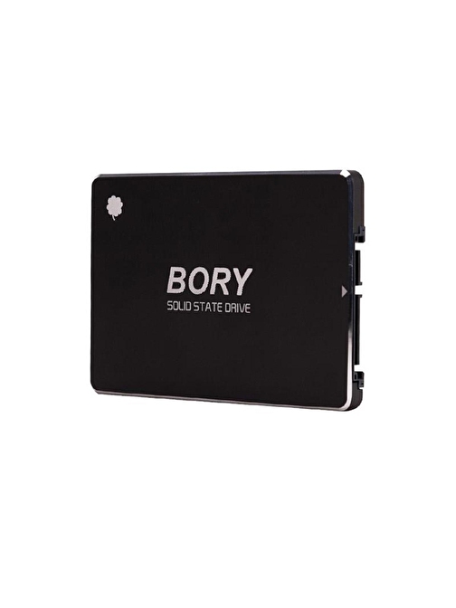 1 TB BORY SATA3 R500-C1T SSD 550/510 MBS (3 YIL GARANTİLİ)