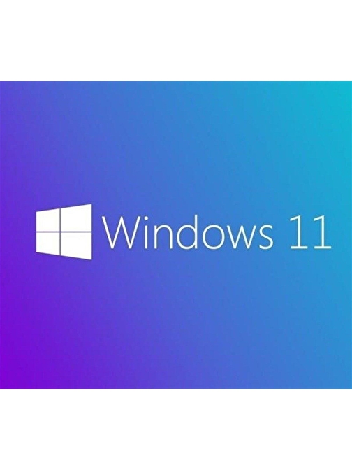 MS WINDOWS 11 PRO 64 BIT TURKCE OEM FQC-10556