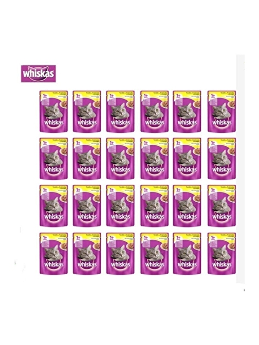 Whiskas Pouch Pure Delight Tavuklu Yetişkin Kedi Mama 24 x 85 G