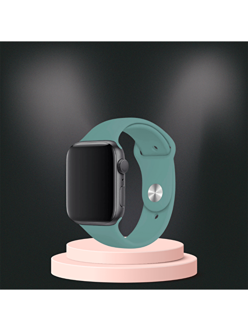 Apple Watch  ultra Silikon Kordon 42-44-45-49 Mm/L Uyumlu KAKTÜS