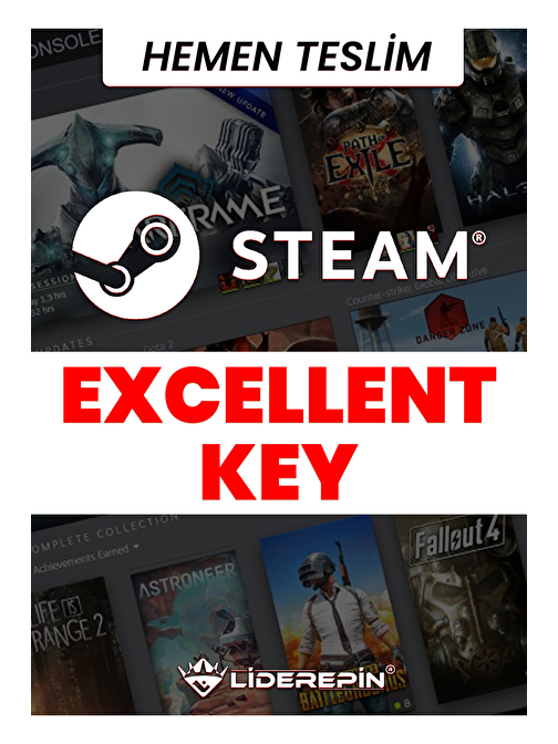 Steam EXCELLENT Key