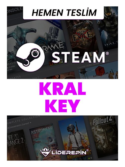 Steam KRAL Key