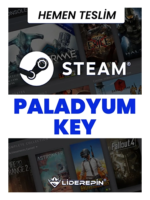 Steam PALADYUM Key