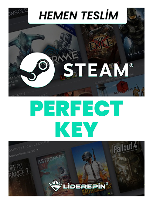 Steam PERFECT Key