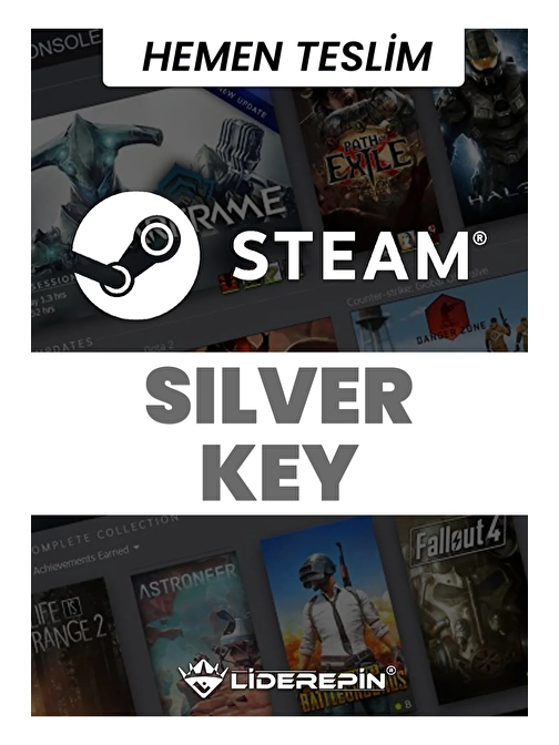 Steam SİLVER Key