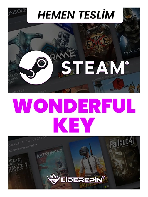 Steam WONDERFUL Key