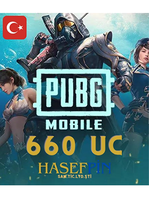 Pubg Mobile 660 UC