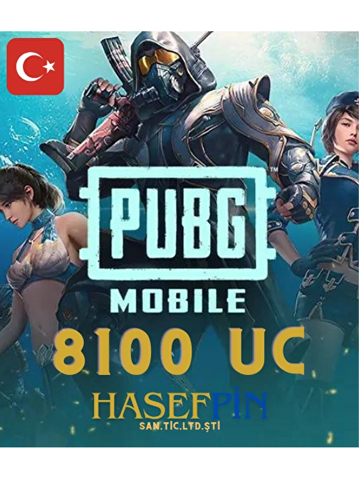 Pubg Mobile 8100 UC