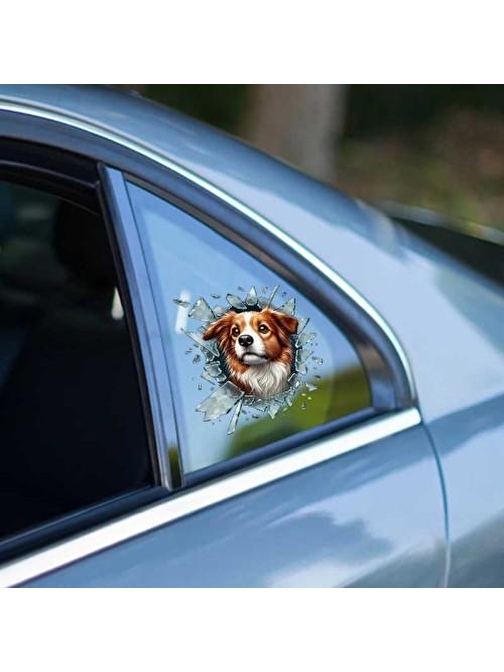 Fulcar Australian Shepherd Araç Stickerı