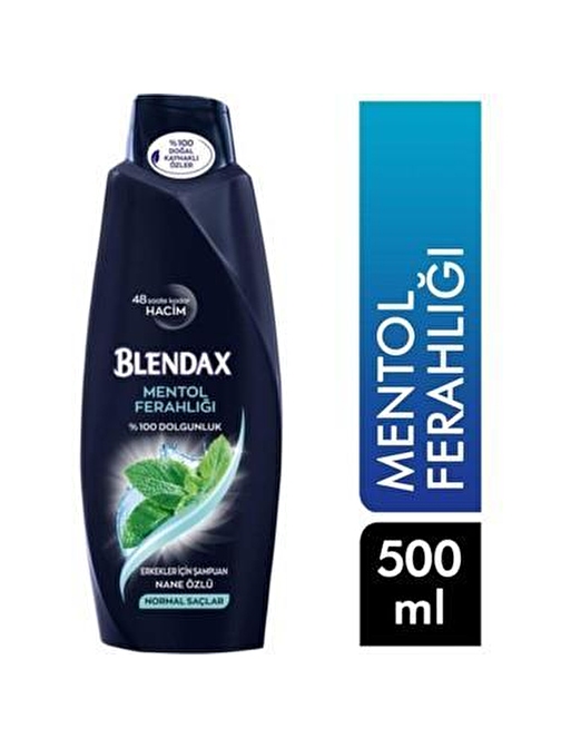 Blendax Şampuan Mentol Ferahlığı 500 ml