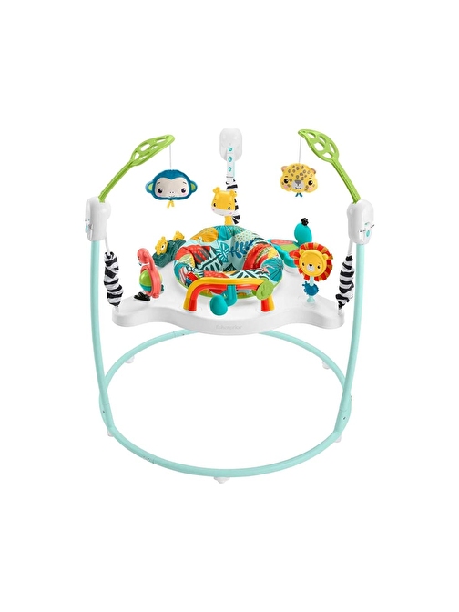 Fisher Price Jumping Jungle Jumperoo HJC37