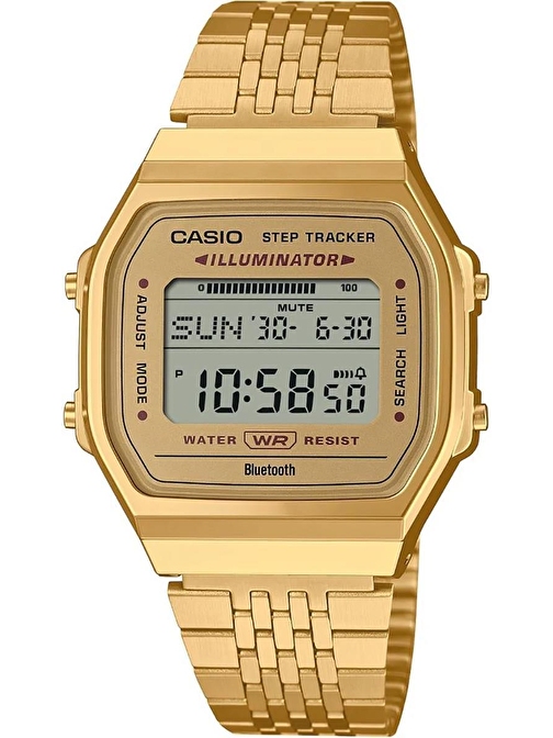 Casio ABL-100WEG-9ADF Unisex Kol Saati