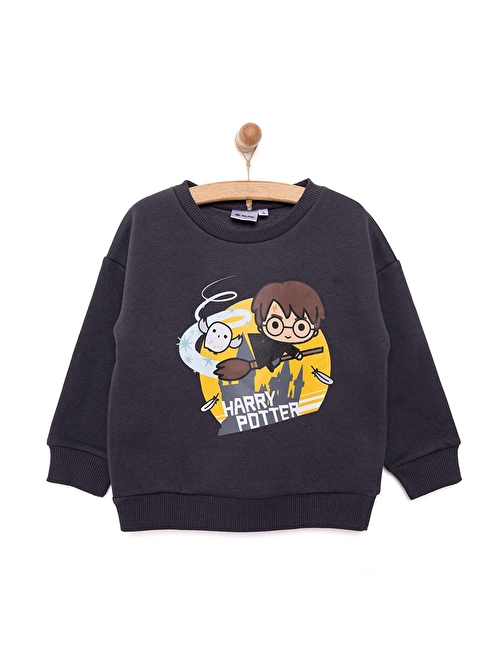 Warner Bros Harry Potter Erkek Sweatshirt Erkek Bebek