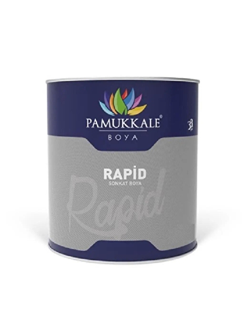 Pamukkale 1402 Rapid Boya 5 Kg Metalik Gri Ral 9006