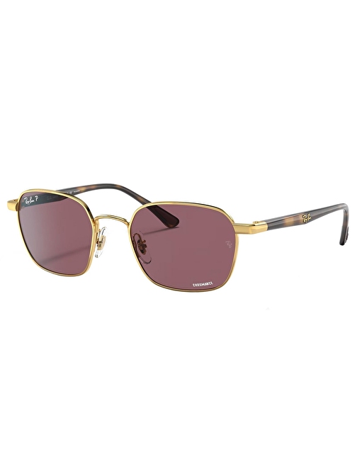 Ray-Ban RB3664CH 001/BC 50 Polarize Unisex Güneş Gözlüğü